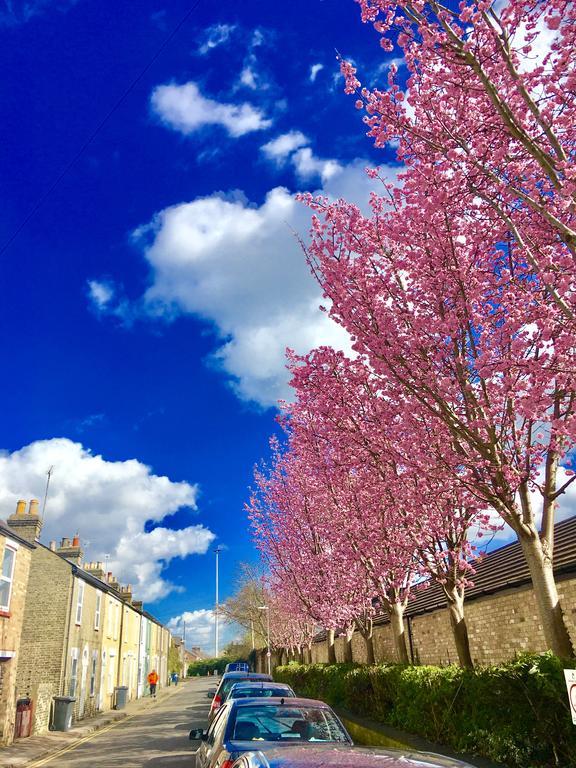 Angel's Cambridge (Cambridgeshire)